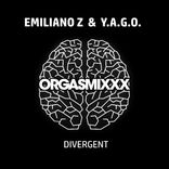 Artwork for "Divergent"