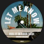 Portada para "Feel It in Your Soul"