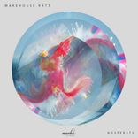 Artwork voor "Nosferatu"