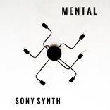 Artwork für "Mental"