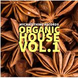 Artwork voor "Organic House vol.1"