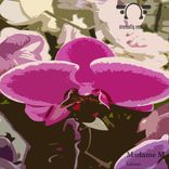 Artwork für "Furious"