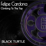 Artwork for "Climbing to the Top"