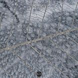 Artwork voor "Black Forest"