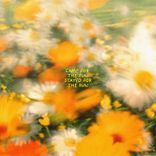 Portada para "Came for the Fun Stayed for the Sun"