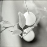 Portada para "Fuckwit"