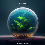 When The High Comes Down