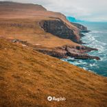 Portada para "Follow the Tide"