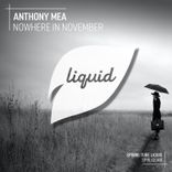 Artwork for "Nowhere in November"