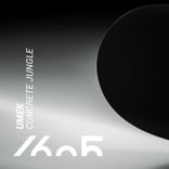 Artwork for "Concrete Jungle"