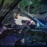 Artwork for "Broken"