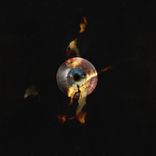 Portada para "Petrified"