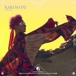 Artwork for "Kari Navo"