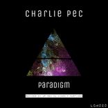 Artwork for "Paradigm"