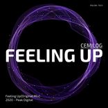 Artwork for "Feeling Up"
