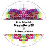 Artwork für "Mary's Pony EP"