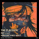 Artwork for "Ray - The Remixes"