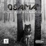 Artwork voor "Into The Woods"