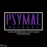 Artwork für "Handshake"