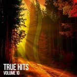 Artwork for "True Hits, Vol. 10"