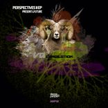 Artwork for "Perspectives II Present&Future"