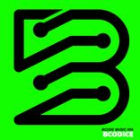 Artwork for "Bcodice"