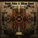 Artwork for "Silicon Valley"