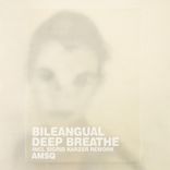 Deep Breathe (Sigrid Karzer Rework)