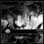 Portada para "Voices"