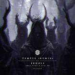 Artwork for "Temple (Ekwols Remix)"