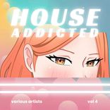 Artwork voor "House Addicted, Vol. 4"