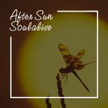 Artwork for "After Sun"