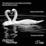 Portada para "She's Wonderful"