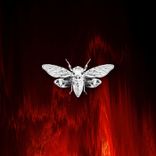 Artwork for "Distorted Reality Vol. III"