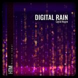 Portada para "Digital Rain"
