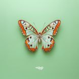 Artwork voor "Mariposa"