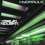 Portada para "Hydraulic"