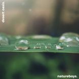 Artwork for "Desert Oasis: African Sahara"