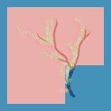 Artwork for "Fire (Dirty Doering Remix)"