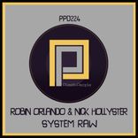 Artwork for "System Raw"