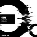 Artwork für "Black Sky"