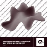 Artwork for "What the F*Ck Do DJs Actually Do? (VIP Remix)"