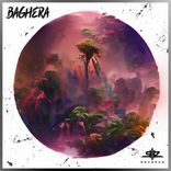Artwork for "Baghera"