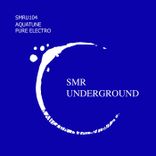 Artwork for "Pure Electro"