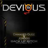 Artwork voor "Back Up Bitch"