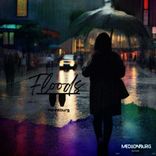 Portada para "Flood"