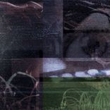 Portada para "Digital Snowflake"