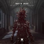 Artwork voor "Spirit / Ready Ready"