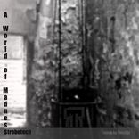 Artwork for "A World of Madness Ep"