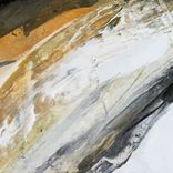 Artwork voor "The Bird"